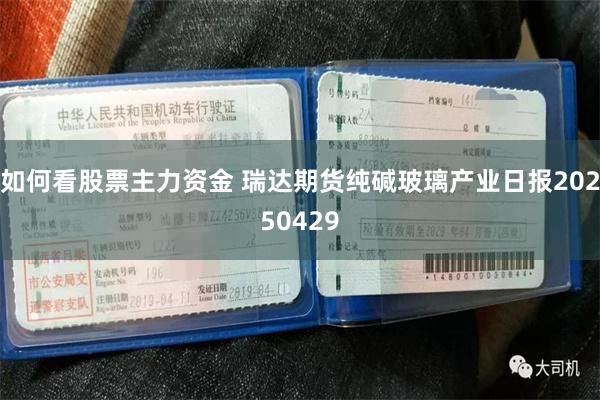 如何看股票主力资金 瑞达期货纯碱玻璃产业日报20250429