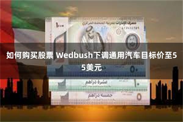 如何购买股票 Wedbush下调通用汽车目标价至55美元