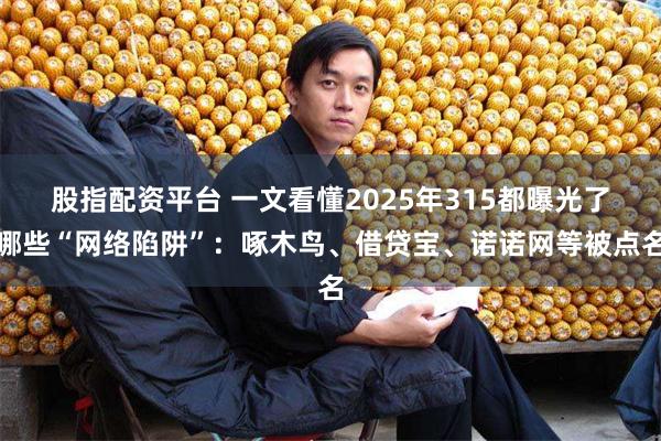 股指配资平台 一文看懂2025年315都曝光了哪些“网络陷阱”：啄木鸟、借贷宝、诺诺网等被点名