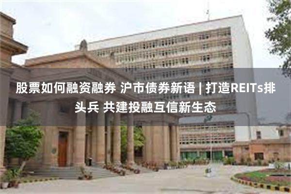 股票如何融资融券 沪市债券新语 | 打造REITs排头兵 共建投融互信新生态
