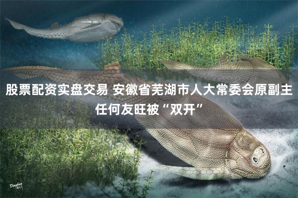 股票配资实盘交易 安徽省芜湖市人大常委会原副主任何友旺被“双开”