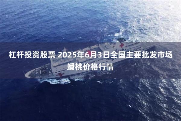 杠杆投资股票 2025年6月3日全国主要批发市场蟠桃价格行情