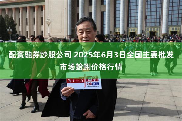 配资融券炒股公司 2025年6月3日全国主要批发市场蛤蜊价格行情